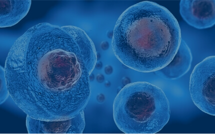 A group of cells in a blue background.